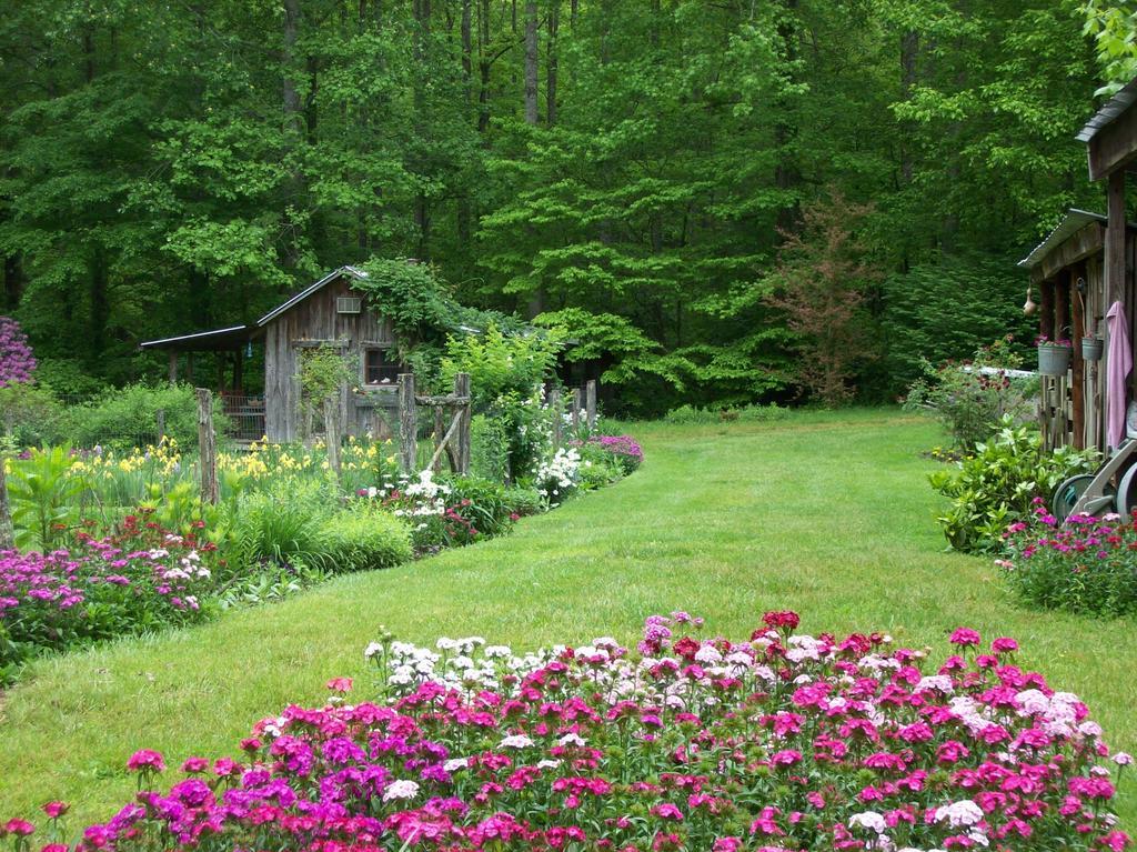 Garden Of Eden Cabins Cosby Exterior photo